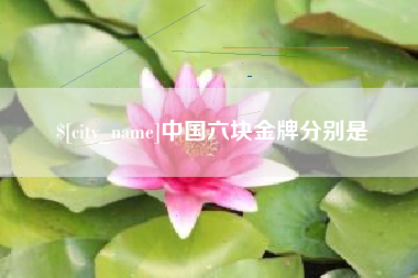 临沂中国六块金牌分别是