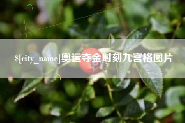 临沂奥运夺金时刻九宫格图片