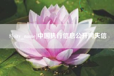 临沂中国执行信息公开网失信
