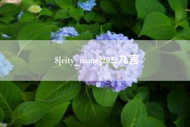 临沂2022九宫