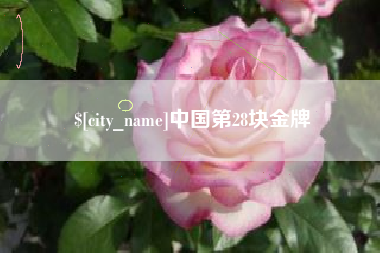 临沂中国第28块金牌