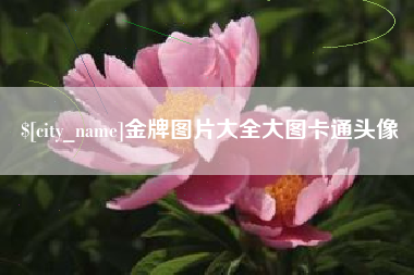临沂金牌图片大全大图卡通头像