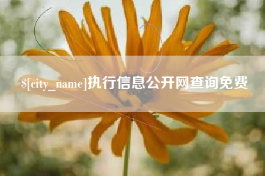 临沂执行信息公开网查询免费