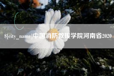 临沂中国消防救援学院河南省2020