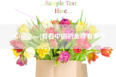临沂看看中国的金牌有多少